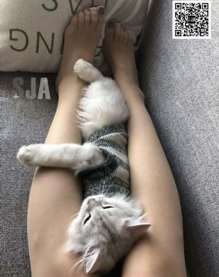 亂倫的老女人引诱_BD英语在线观看视频
