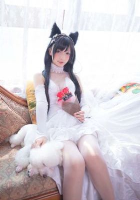 少年派2免费观看完整版西瓜影视_HD高清视频观看